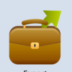 export-auth-icon